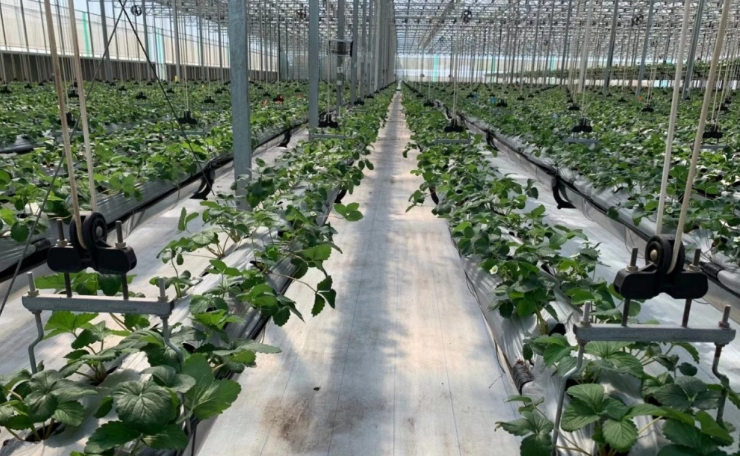 智慧農(nóng)業(yè)云平臺系統(tǒng)設(shè)計的十大業(yè)務(wù)